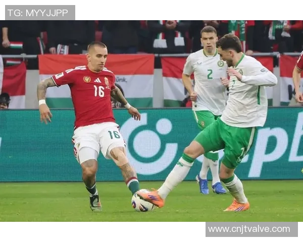 匈牙利足球明星遭枪杀震惊世界足球界引发广泛关注与哀悼